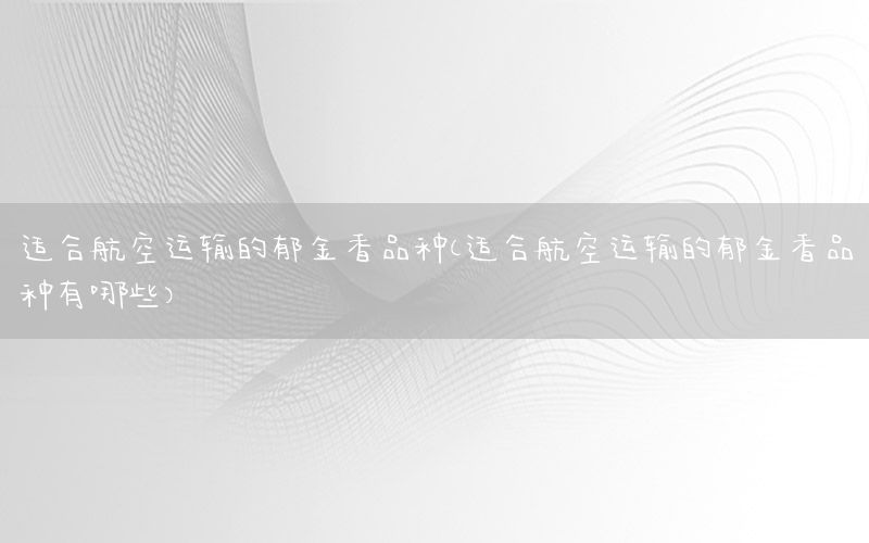 适合航空运输的郁金香品种（适合航空运输的郁金香品种有哪些）