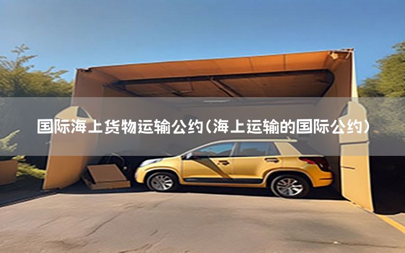 国际海上货物运输公约（海上运输的国际公约）