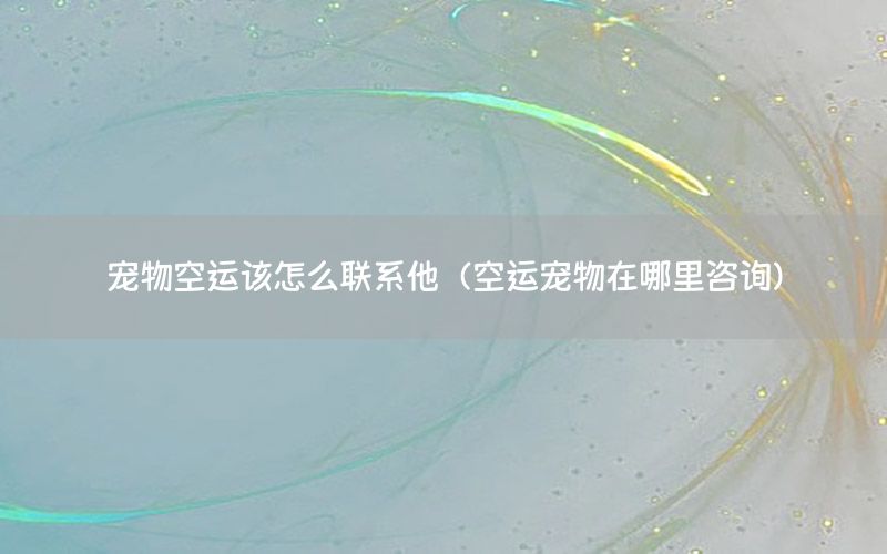 宠物空运该怎么联系他（空运宠物在哪里咨询）