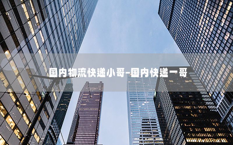国内物流快递小哥-国内快递一哥