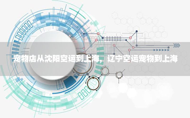 宠物店从沈阳空运到上海，辽宁空运宠物到上海