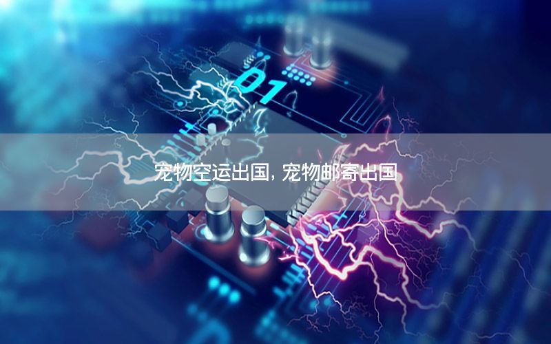 宠物空运出国，宠物邮寄出国