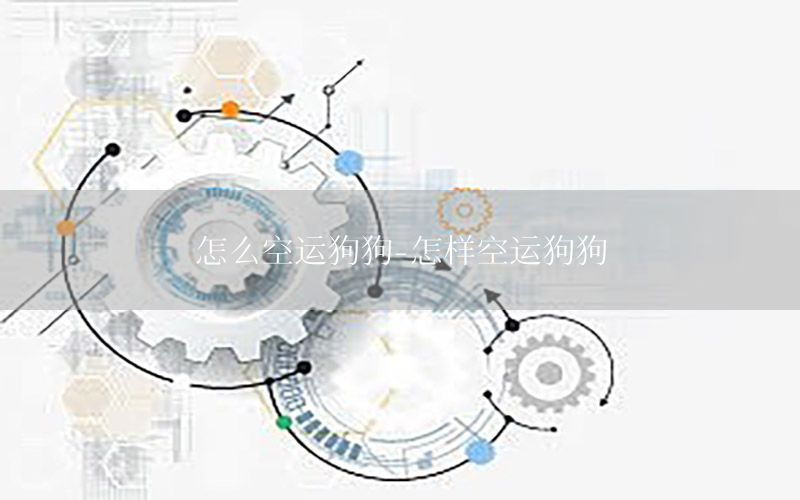 怎么空运狗狗-怎样空运狗狗