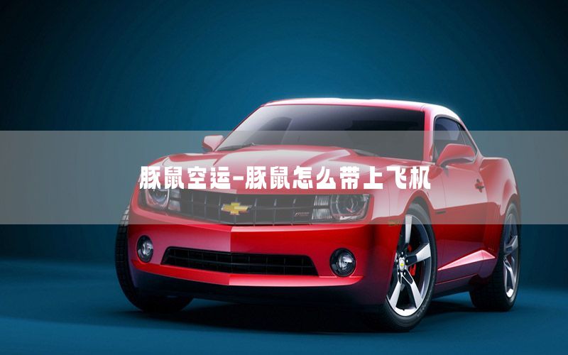 豚鼠空运-豚鼠怎么带上飞机