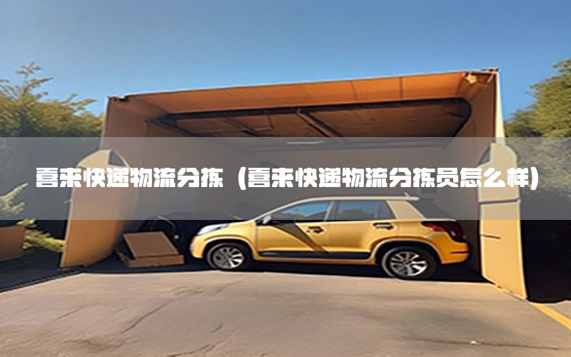 喜来快递物流分拣（喜来快递物流分拣员怎么样）