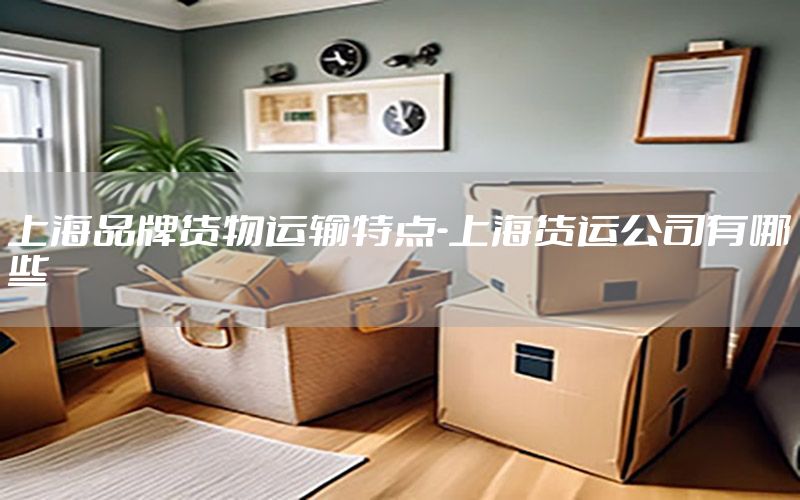 上海品牌货物运输特点-上海货运公司有哪些