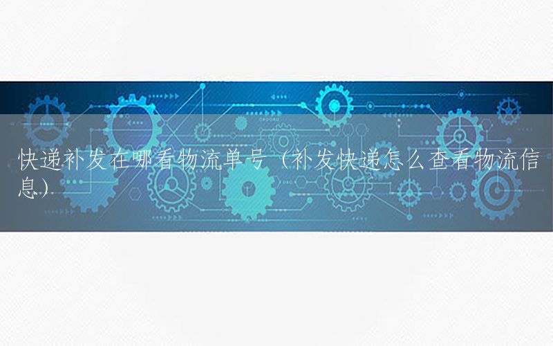 快递补发在哪看物流单号（补发快递怎么查看物流信息）