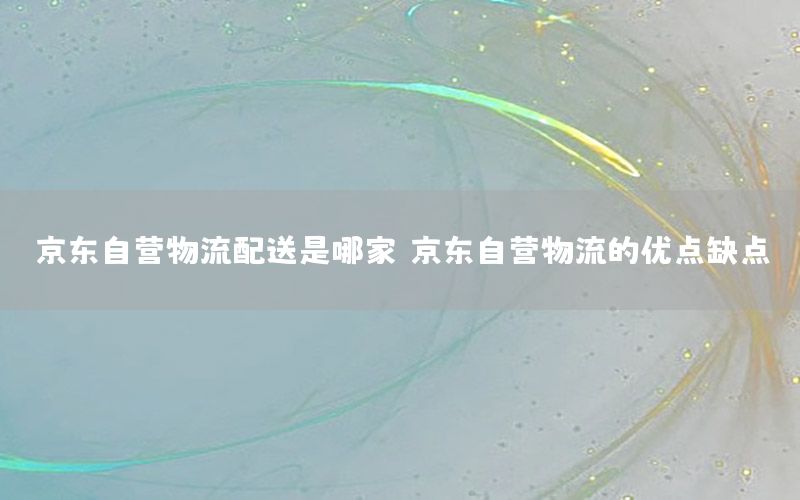 京东自营物流配送是哪家（京东自营物流的优点缺点）