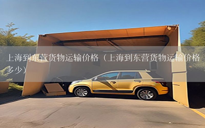 上海到东营货物运输价格（上海到东营货物运输价格多少）
