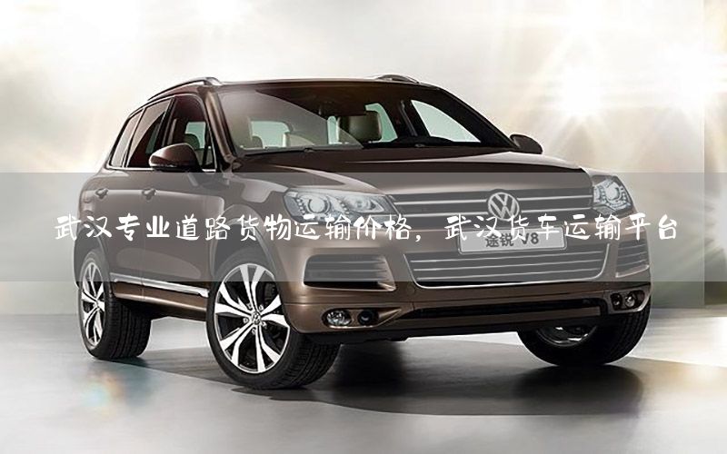 武汉专业道路货物运输价格，武汉货车运输平台