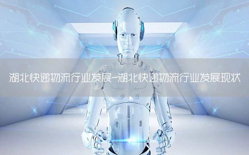 湖北快递物流行业发展-湖北快递物流行业发展现状
