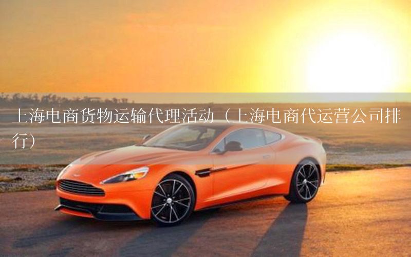 上海电商货物运输代理活动（上海电商代运营公司排行）