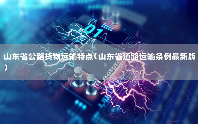 山东省公路货物运输特点（山东省道路运输条例最新版）