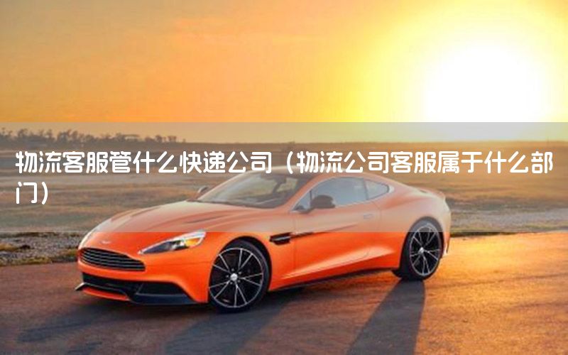 物流客服管什么快递公司（物流公司客服属于什么部门）