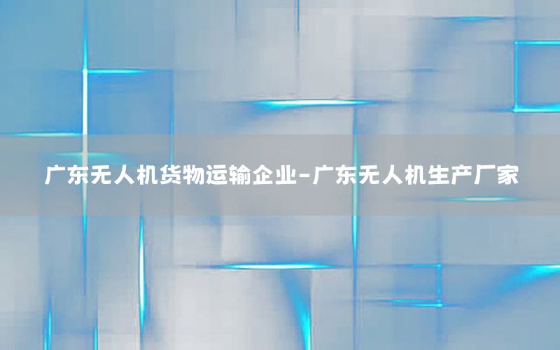 广东无人机货物运输企业-广东无人机生产厂家