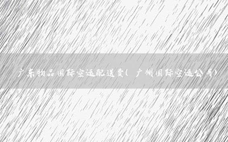 广东物品国际空运配送费（广州国际空运公司）