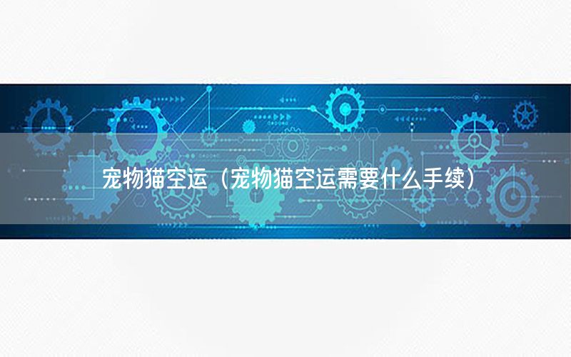 宠物猫空运（宠物猫空运需要什么手续）