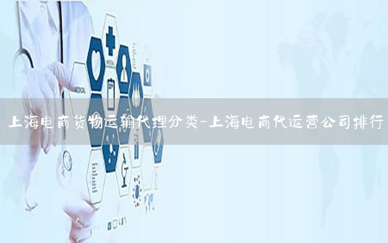 上海电商货物运输代理分类-上海电商代运营公司排行