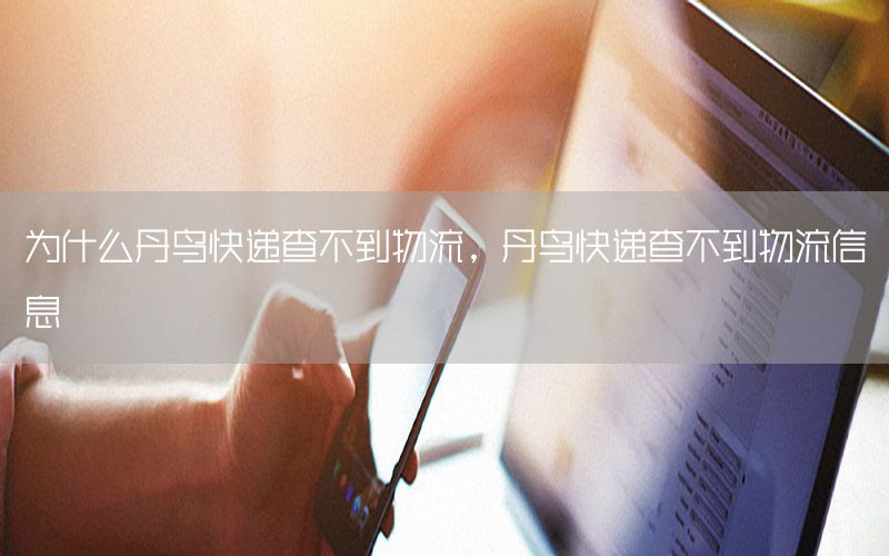 为什么丹鸟快递查不到物流，丹鸟快递查不到物流信息