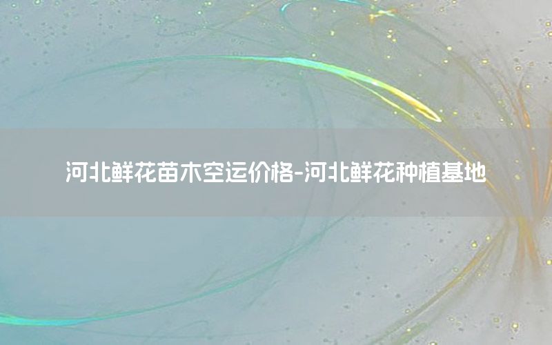 河北鲜花苗木空运价格-河北鲜花种植基地